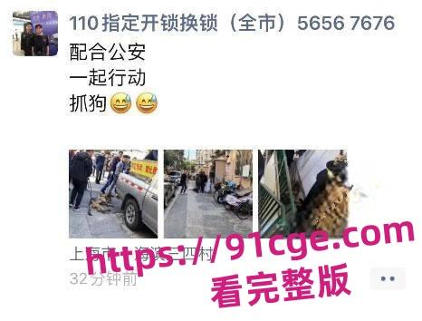 上海抓狗行动特警撬锁 只为抓捕16岁退瘫痪役警犬！-4
