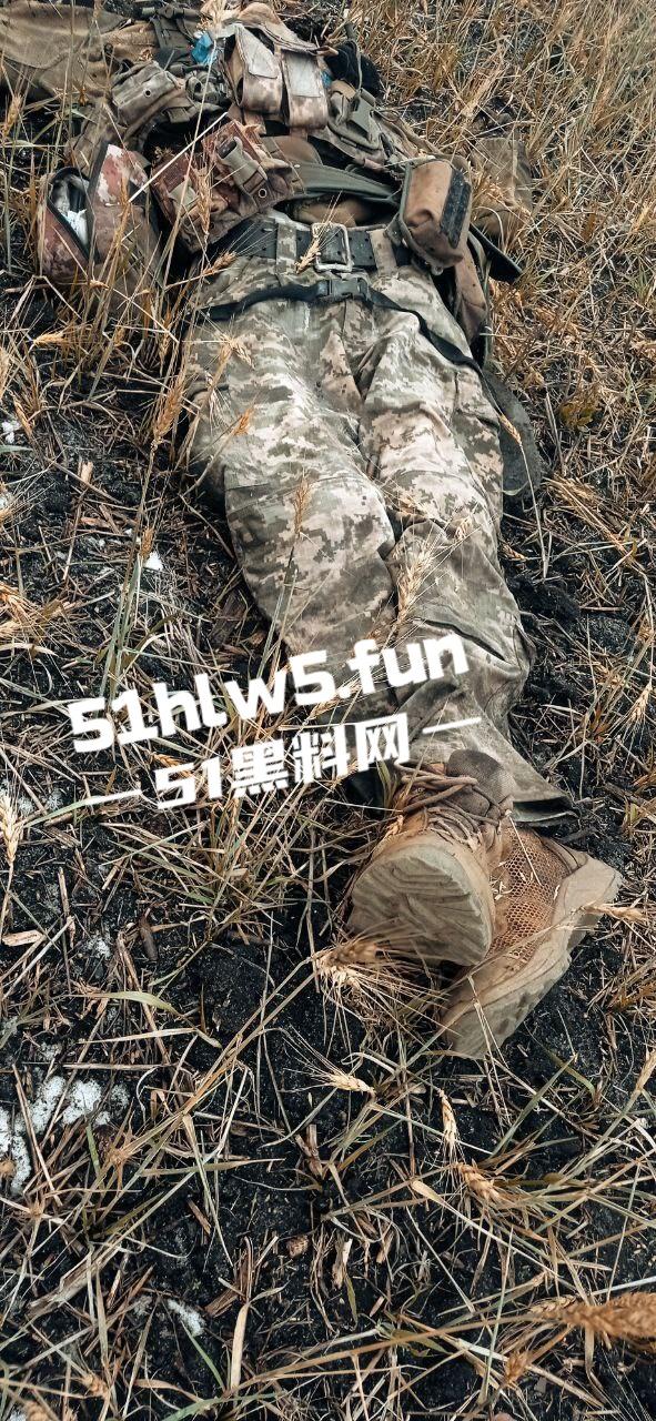 【血腥恐怖】俄乌战场战后清扫，到处都是早已腐烂的士兵尸体，现场视频画面流出。-3