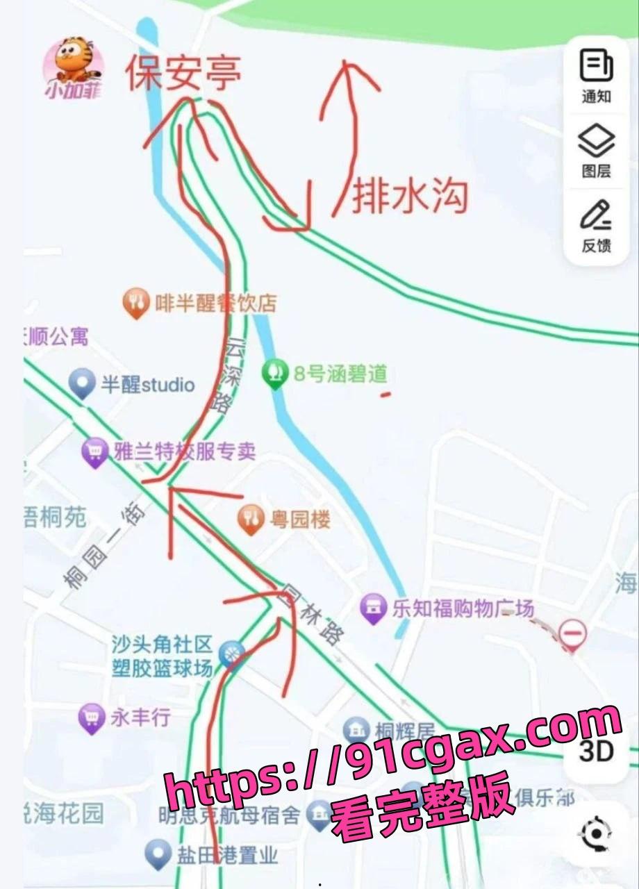 深圳梧桐山老虎涧夜间百人基佬野战淫趴场面真壮观！-1