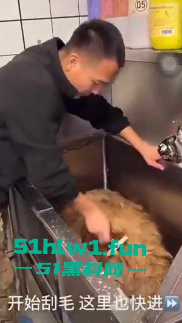 网红狗艾特疑遭训狗师【潘宏】虐待致死,女明星陈乔恩蹭热点带节奏被网友骂上热搜。-3