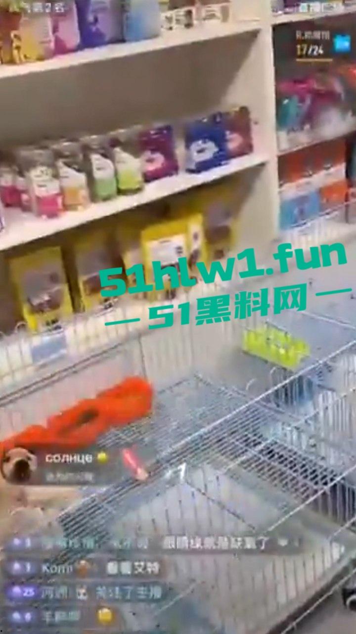 网红狗艾特疑遭训狗师【潘宏】虐待致死,女明星陈乔恩蹭热点带节奏被网友骂上热搜。-4