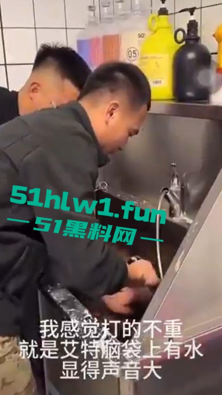 网红狗艾特疑遭训狗师【潘宏】虐待致死,女明星陈乔恩蹭热点带节奏被网友骂上热搜。-8