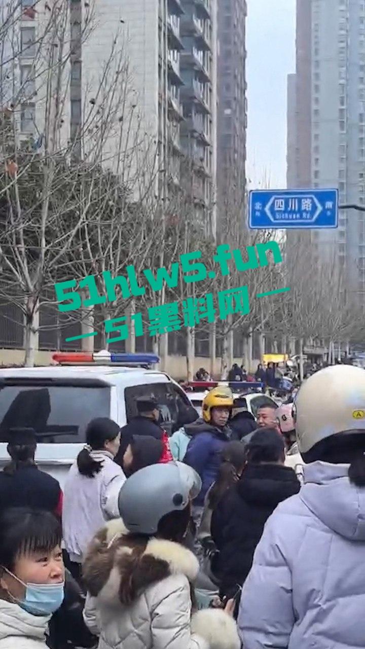 合肥滨湖小学，三年级小男生遭欺辱被剪操殖器，父亲发疯手刃覇凌同学。-9