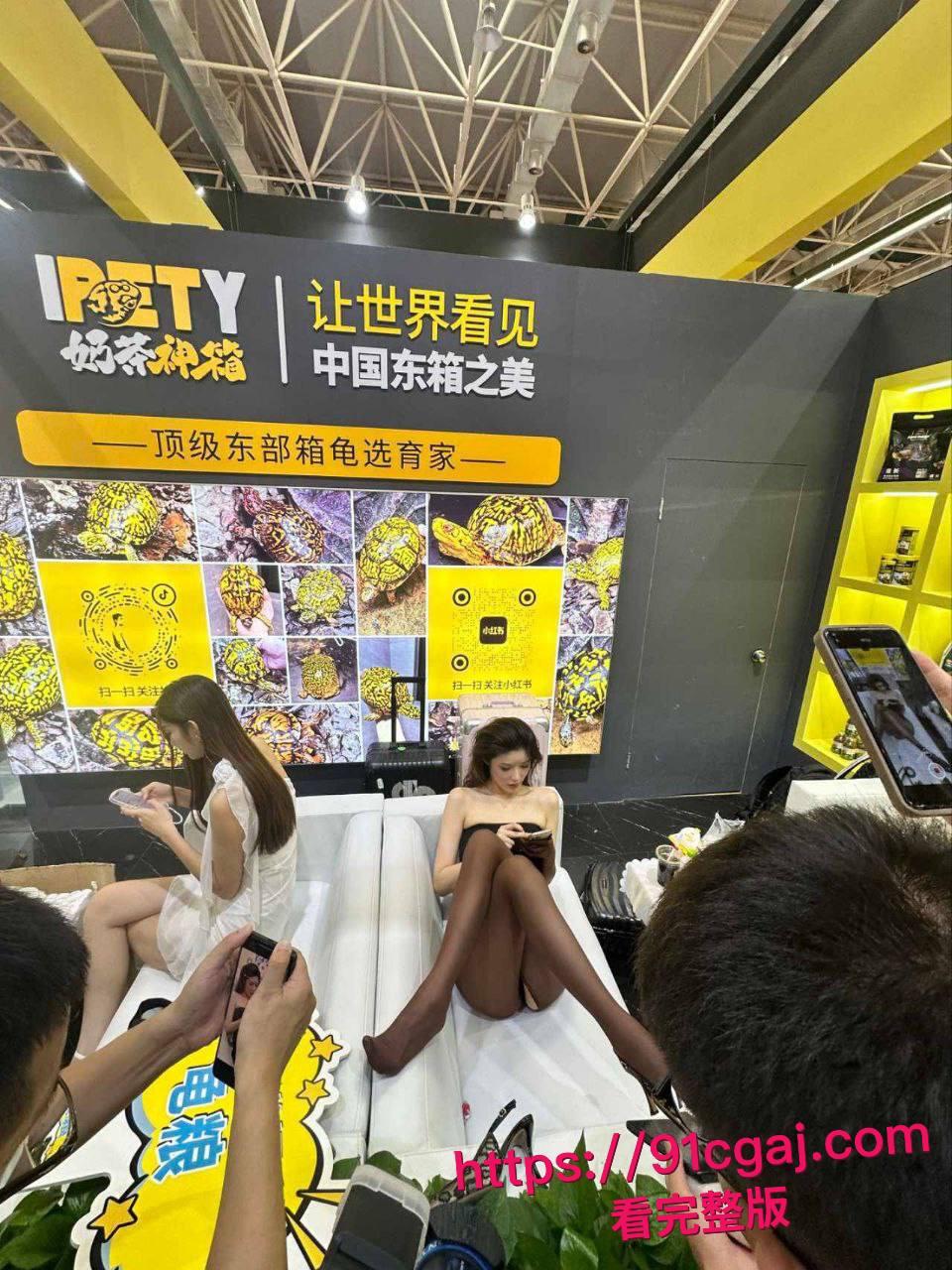 现在连卖乌龟都要请模特?广东佛山顺德龟展黑丝妹子扭腰甩臀勾魂,主办方慌张轰走这场肉欲大趴体 #世界名龟展模特派对揭秘 #网红高颜女神龟展暴露 #网红擦边 #龟友-3